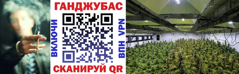 Канабис планчик  Купить закладки  Медынь 